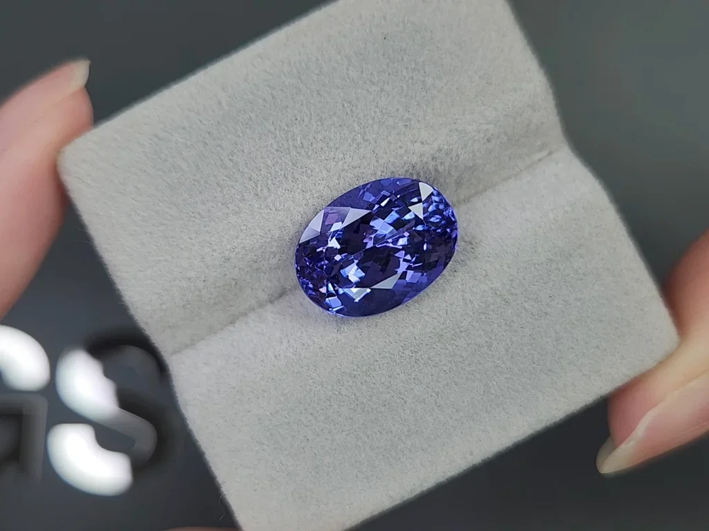 Tanzanita de talla ovalada de 8,23 carats, Tanzania Image №4