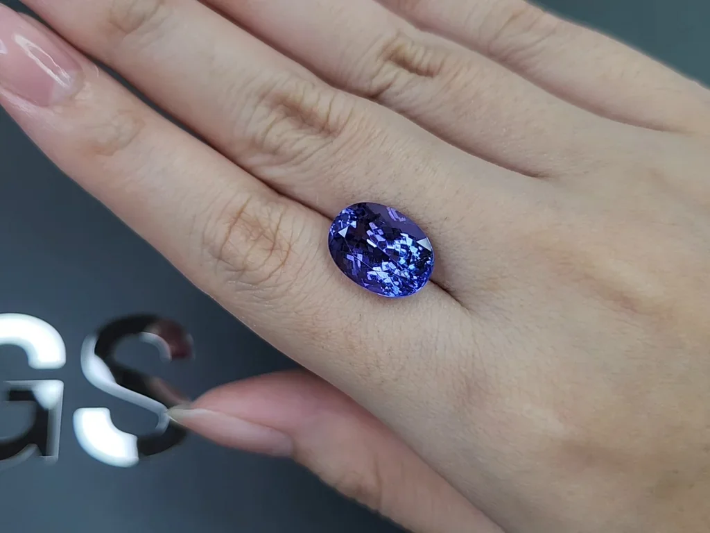 Tanzanita de talla ovalada de 8,23 carats, Tanzania Image №2