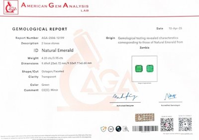 Certificate Paire émeraudes taille Asscher vert vif de 8,15 carats, Zambie