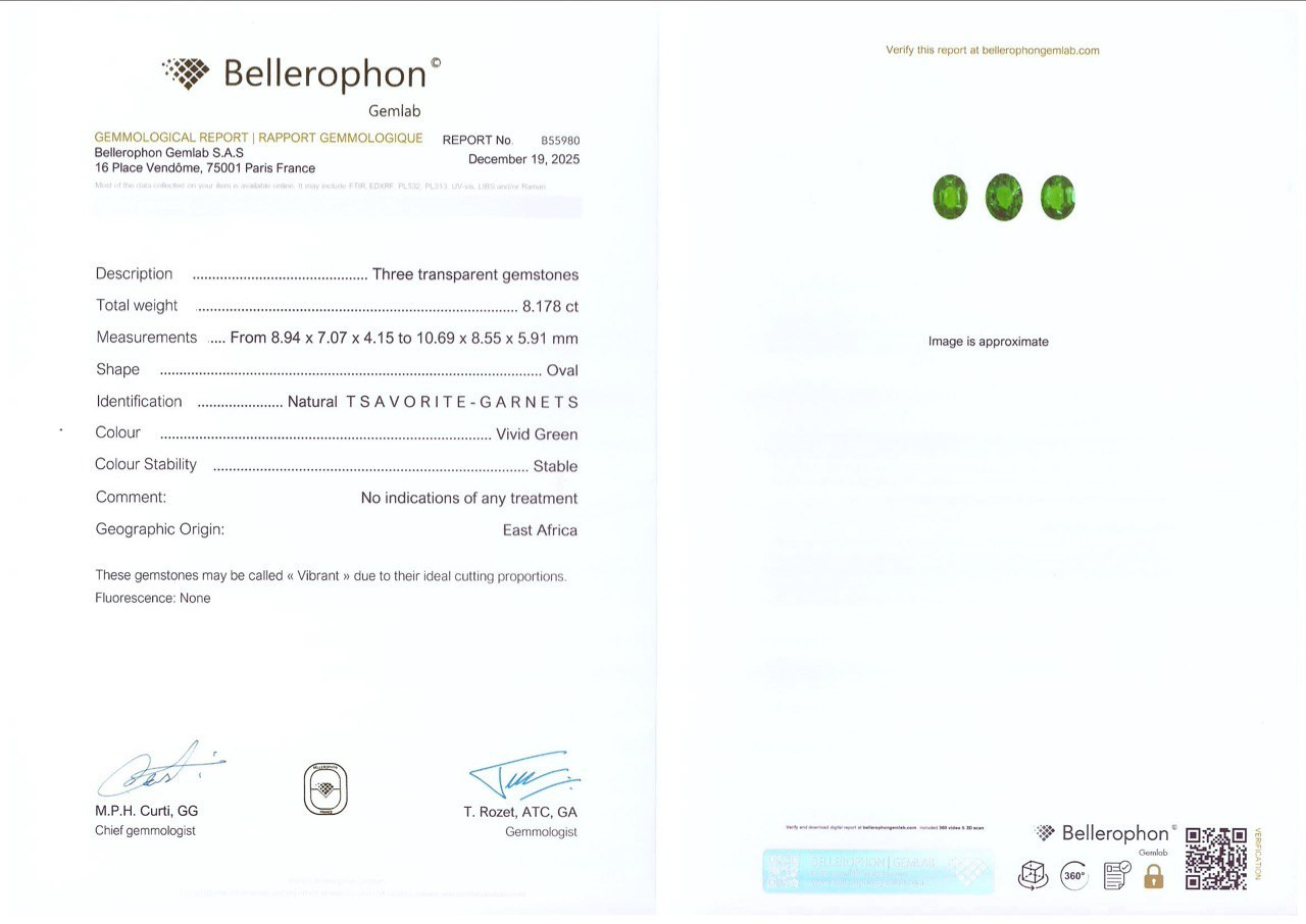 Ensemble de tsavorites ovales un vert éclatant 8,18 carats, Afrique Image №6