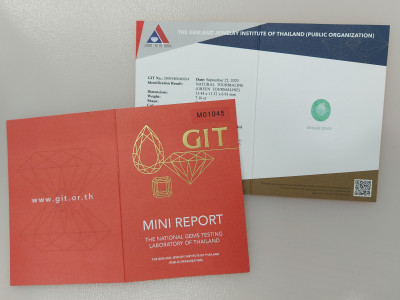 Mini Report GIT photo