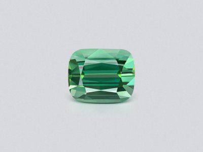 Lagoon blue-green tourmaline in cushion cut 8.88 carats  photo