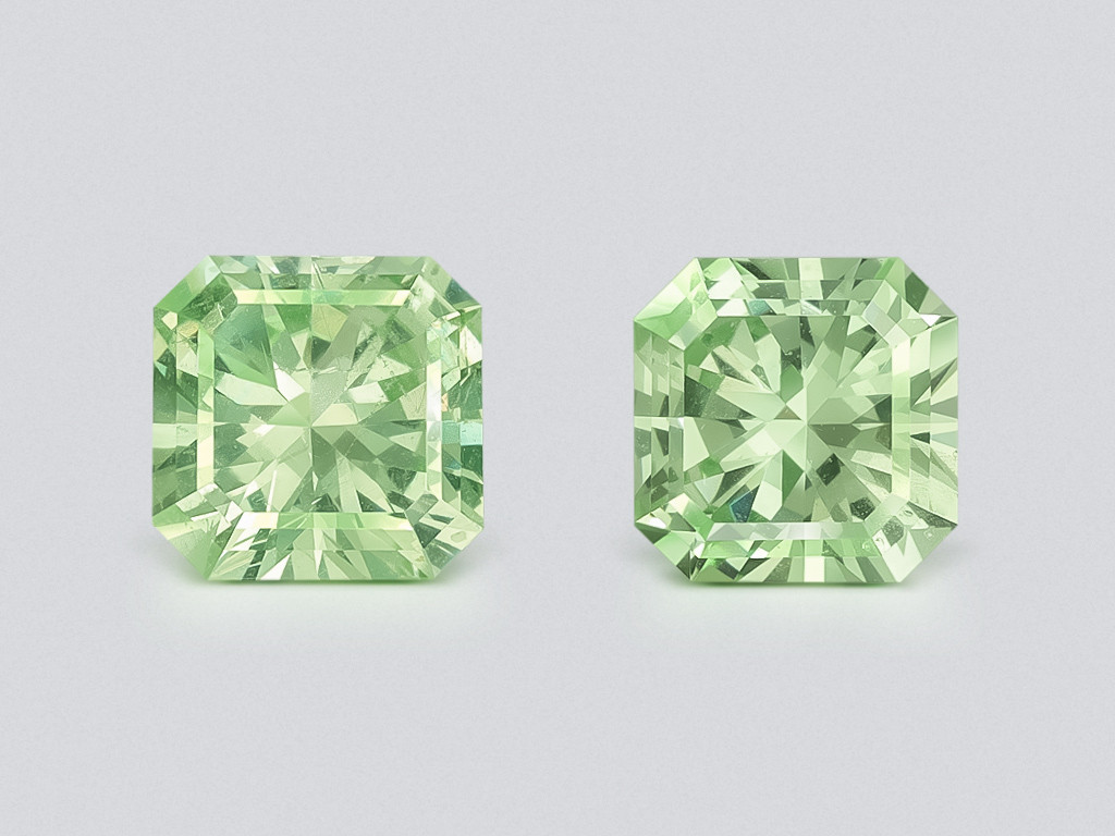 Pair of grossular garnets radiant cut 1.03 carats, Tanzania Image №1