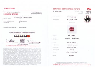 Certificate Rare grenat de Malaisie taille coussin 2,22 carats, Tanzanie