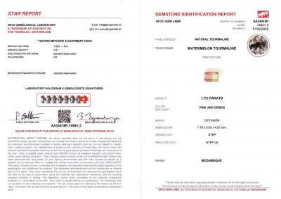 Certificate Octagon polychrome tourmaline 1.72 ct, Mozambique