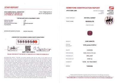 Certificate Grenat umbalite brillant de Tanzanie 3,98 ct