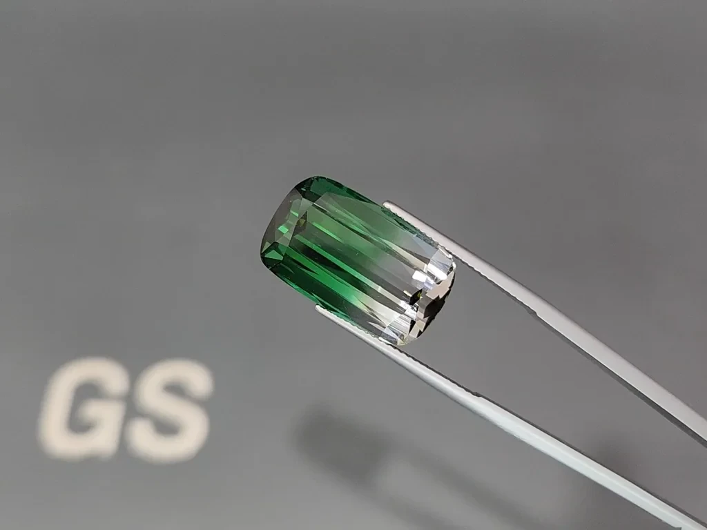 Turmalina bicolor de talla cojín grande de 24.480 quilates, Afganistán  Image №3