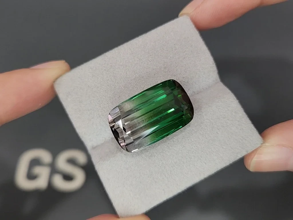 Turmalina bicolor de talla cojín grande de 24.480 quilates, Afganistán  Image №4