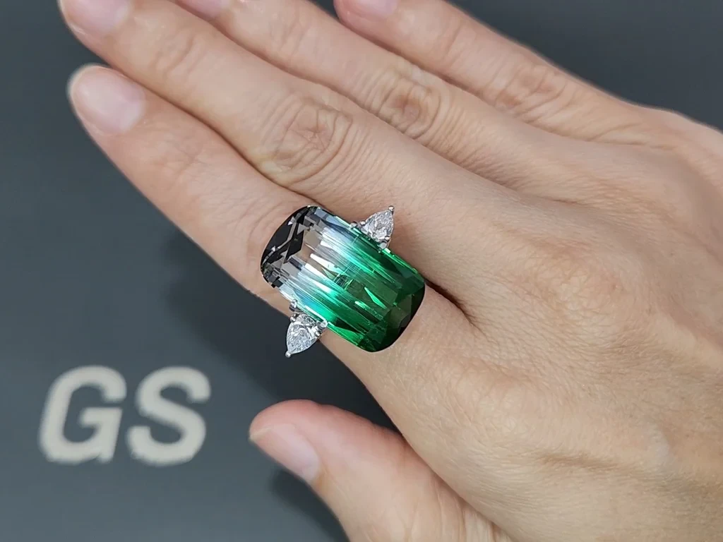 Turmalina bicolor de talla cojín grande de 24.480 quilates, Afganistán  Image №5