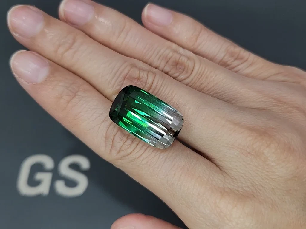 Turmalina bicolor de talla cojín grande de 24.480 quilates, Afganistán  Image №2