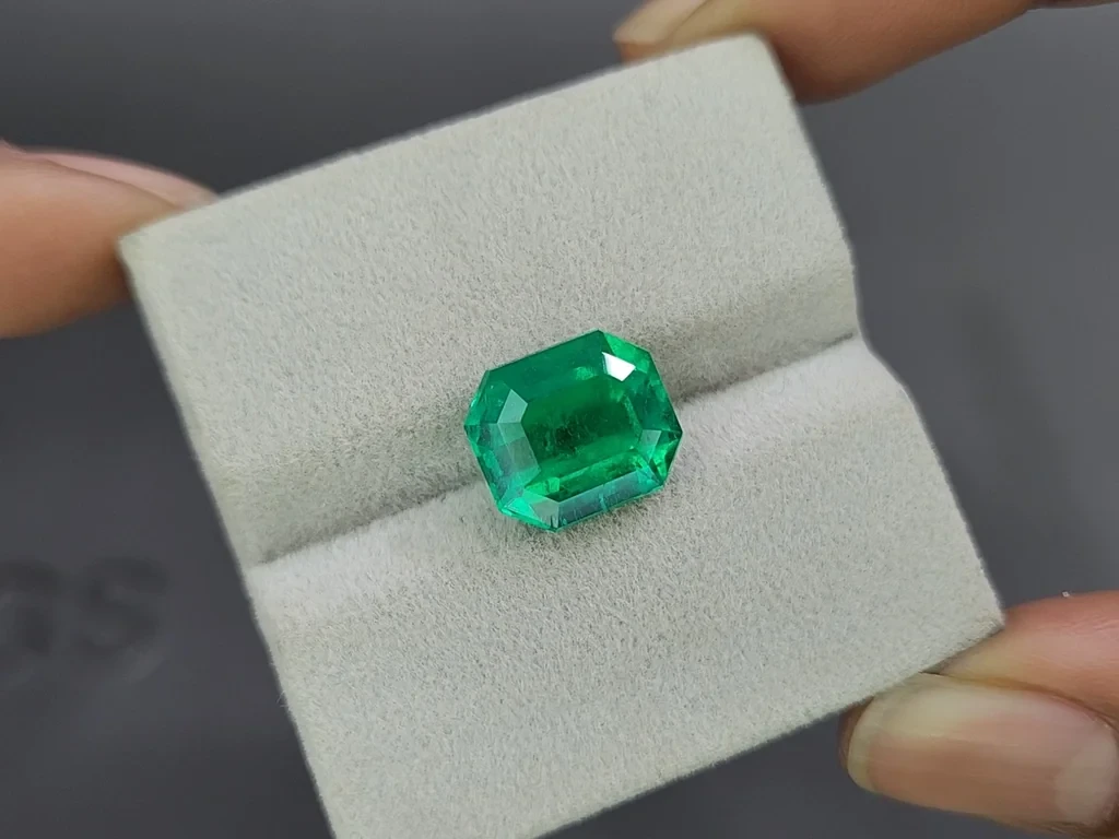 Émeraude verte intense mariposa, taille octogonale 5,67 carats, Colombie Image №4
