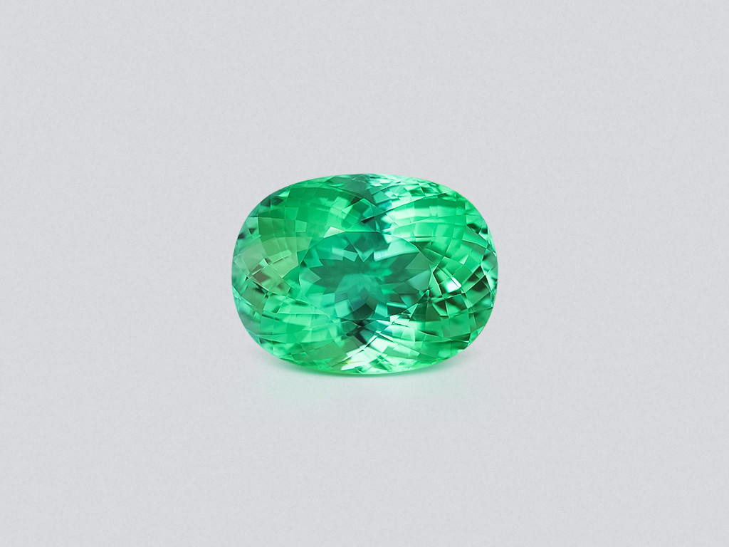 Großer grüner oval geschliffener Paraiba turmalin mit einem 32,62 karat, Mozambique Image №1