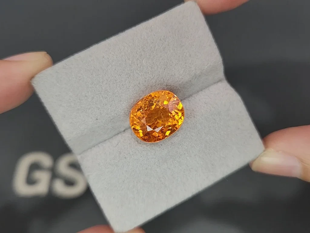 Grenat spessartite Fanta color taille coussin de 10,27 carats, Afrique Image №4