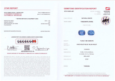 Certificate Paar tansanite kissenförmig geschliffene 14,51 karat, Tansania 