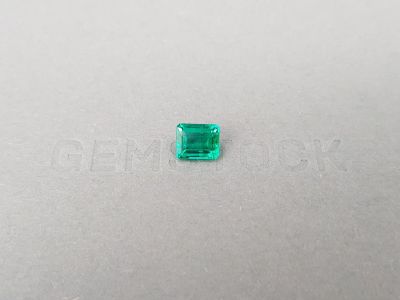 Vivid Green emerald from Colombia in octagon cut 1.30 ct photo