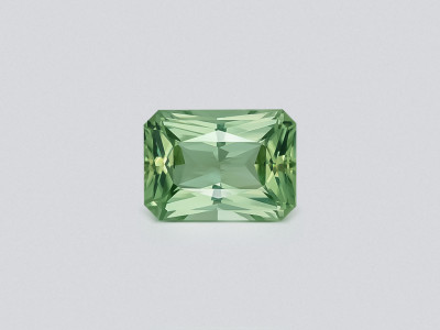 Grüner turmalin im radiantschliff 11,15 karats, Afrika photo