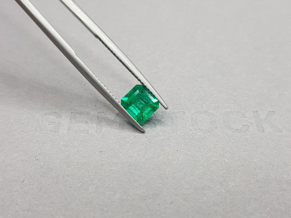 Intense Muzo Green emerald from Colombia 1.15 ct Image №4
