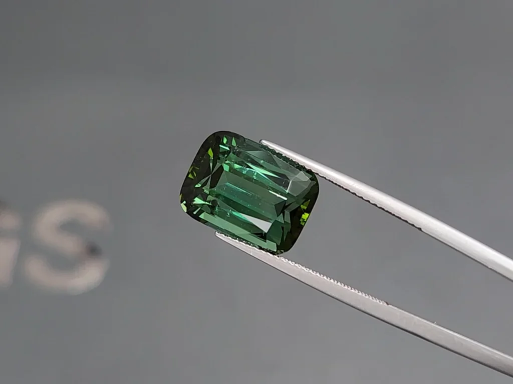 Tourmaline verte taille coussin 10,30 carats, Afrique Image №3