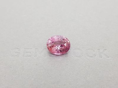 Pink padparadscha sapphire 7.03 ct, Sri Lanka photo