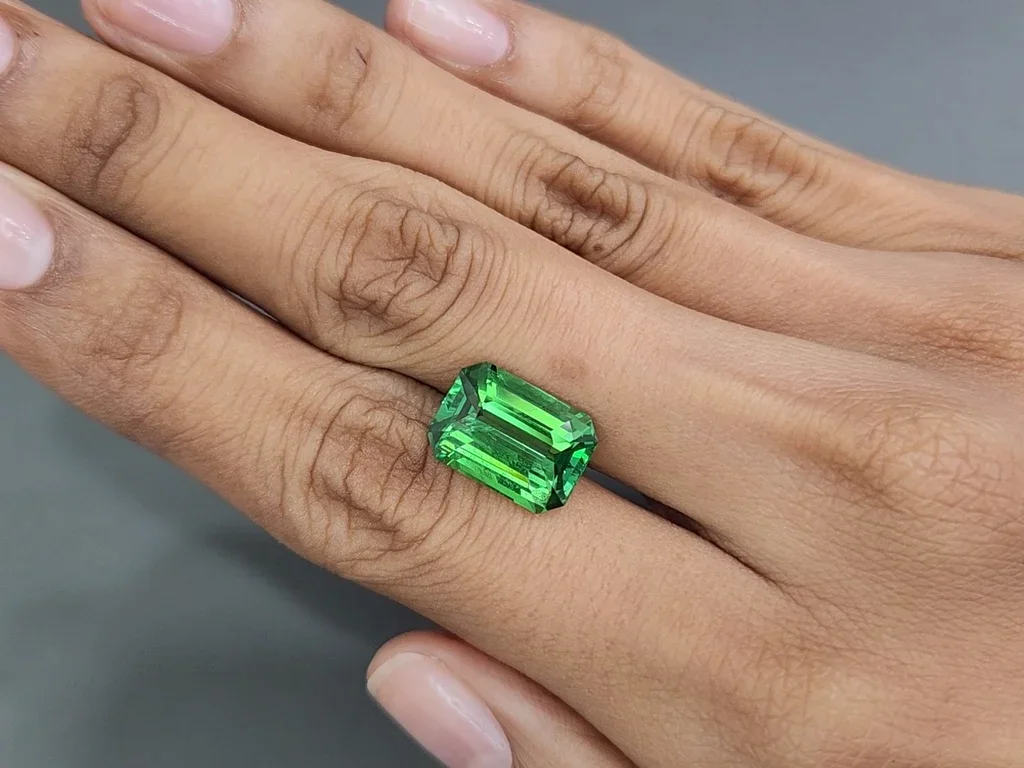 Unique vibrant green tsavorite garnet in octagon cut 7.06 carats  Image №2