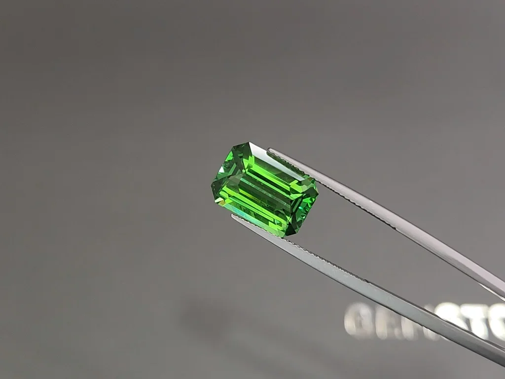 Unique vibrant green tsavorite garnet in octagon cut 7.06 carats  Image №3