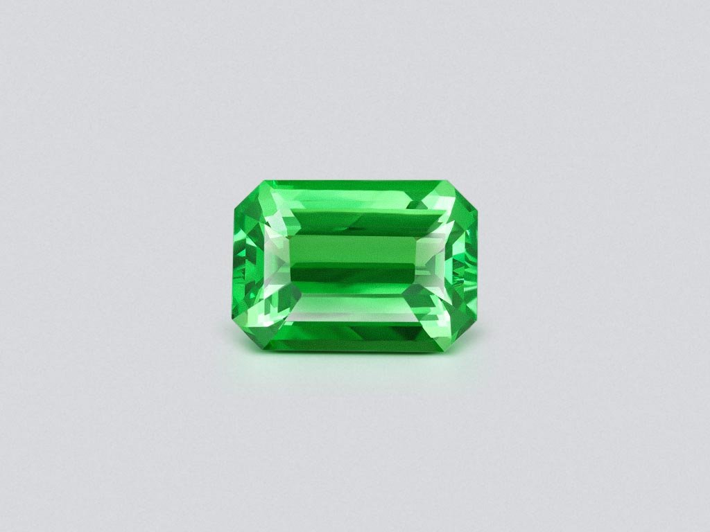 Unique vibrant green tsavorite garnet in octagon cut 7.06 carats  Image №1