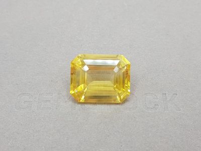Intense yellow sapphire untreated 23.06 carats photo