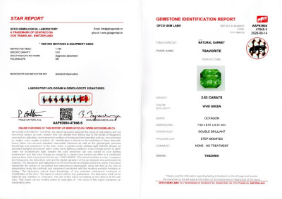 Certificate Ein leuchtend grüner granat tsavorit im radiant-schliff mit 2,53 karat, Tansania