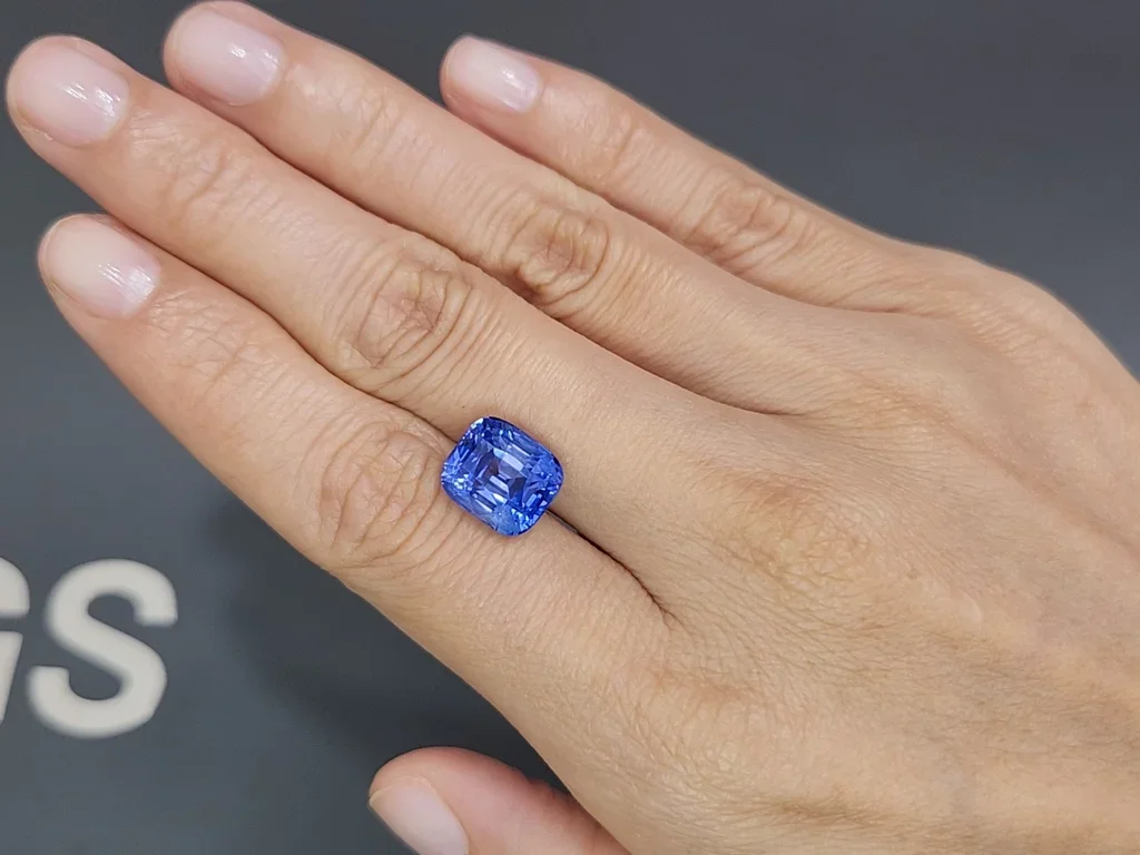 Cornflower blue sapphire in cushion cut 7.71 carats, Sri Lanka  Image №2