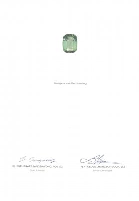 Certificate Bright green tourmaline with a blue tint of 12.51 ct