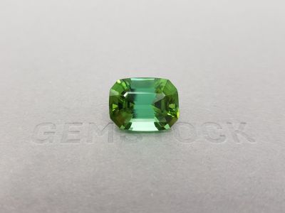 Bright green tourmaline with a blue tint of 12.55 ct photo