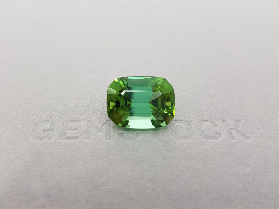 Bright green tourmaline with a blue tint of 12.51 ct Image №1