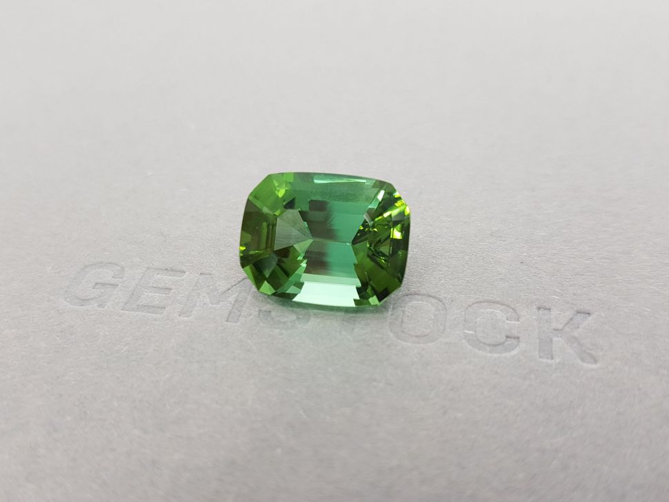 Bright green tourmaline with a blue tint of 12.55 ct Image №2