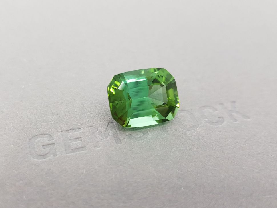 Bright green tourmaline with a blue tint of 12.51 ct Image №3