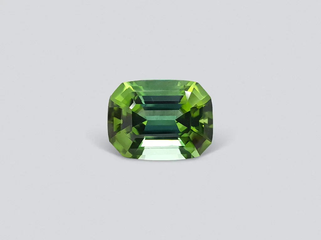 Bright green tourmaline with a blue tint of 12.51 ct Image №1