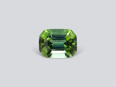 Bright green tourmaline with a blue tint of 12.51 ct photo