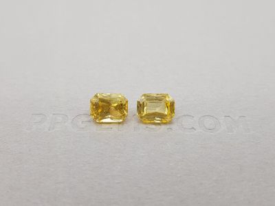 Pair of bright yellow sapphires, 3.25 ct radiant cut, Sri Lanka photo