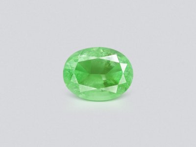 Paraiba tourmaline, neon green, oval cut, 2.27 ct, Mozambique photo