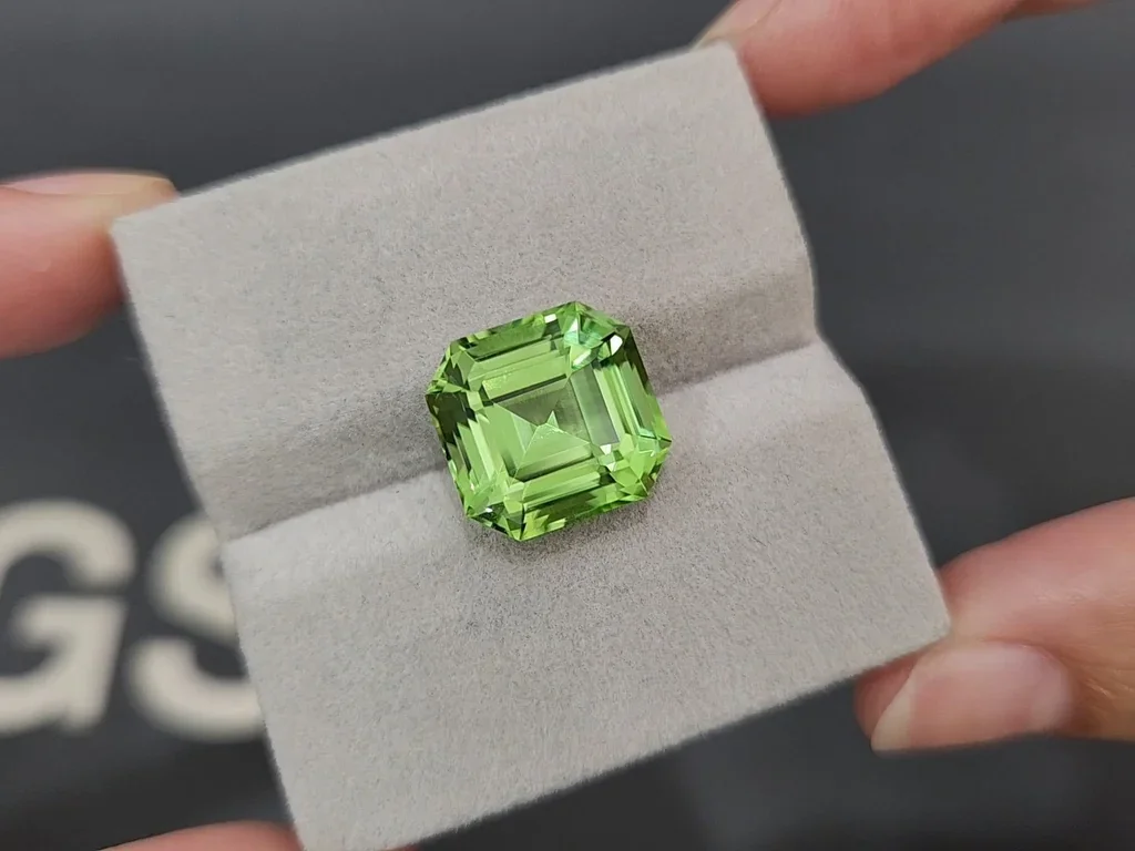 Peridoto verde de talla octogonal grande de 11,21 carats, Pakistán Image №4
