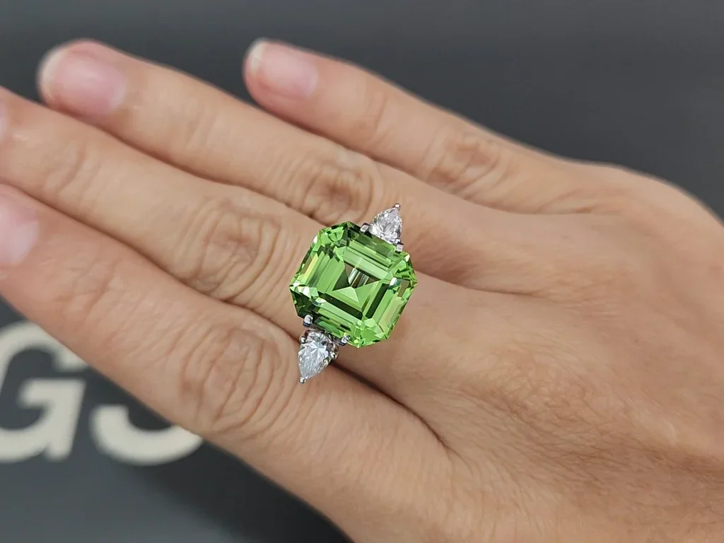 Peridoto verde de talla octogonal grande de 11,21 carats, Pakistán Image №5