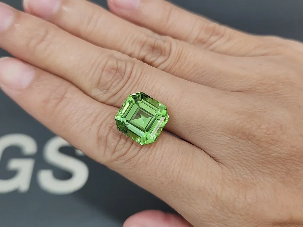 Peridoto verde de talla octogonal grande de 11,21 carats, Pakistán Image №2