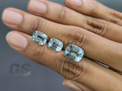 Aquamarin-set kissenförmig geschliffenes 10,47 karat, Madagaskar photo