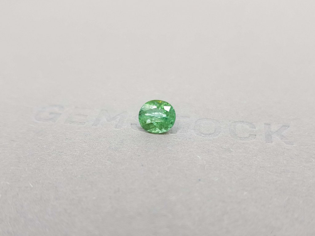 Green tourmaline oval cut 1.12 ct Image №3