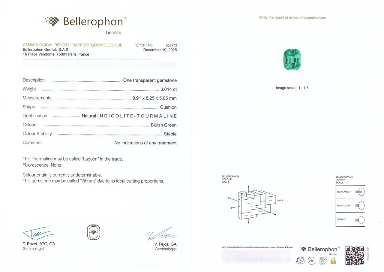 Tourmaline Lagoon taille coussin, 3,01 carats, Afghanistan Image №6