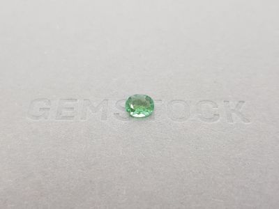Tourmaline verdelite oval cut 0.57 ct photo