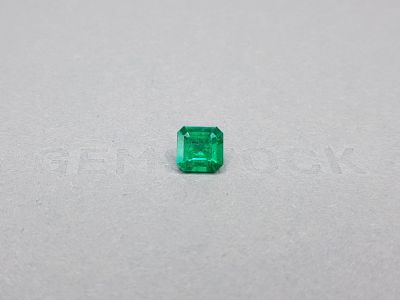 Colombian emerald 1.46 ct Muzo Green photo