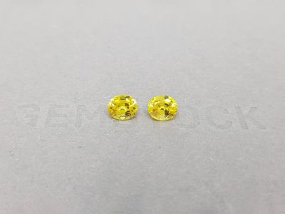 Pair of oval yellow sapphires 1.46 ct, Madagascar photo