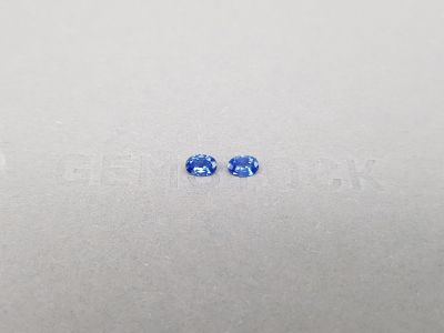 Pair of blue oval cut Cornflower sapphires 0.56 ct, Sri Lanka photo