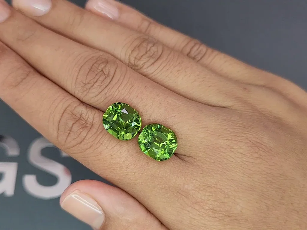 Par de turmalinas cromadas talla cojín de 13,74 quilates  Image №2