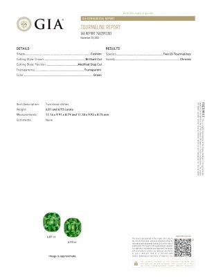 Certificate Par de turmalinas cromadas talla cojín de 13,74 quilates 
